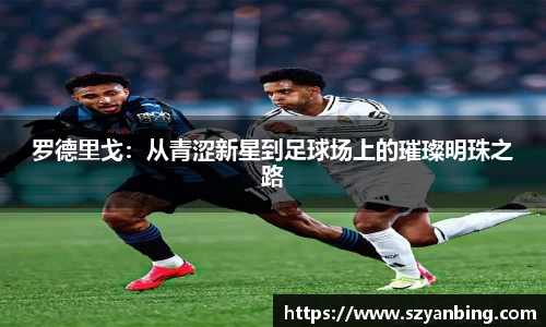 zoty中欧